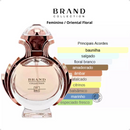 Brand Collection No 087 Feminino 25ml